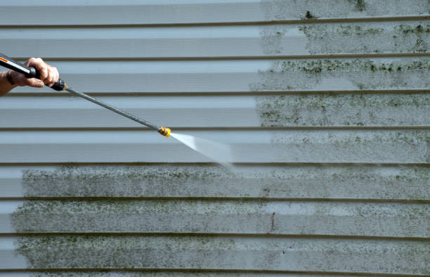 Best Roof Cleaning and Mildew Removal in Buffalo, TX